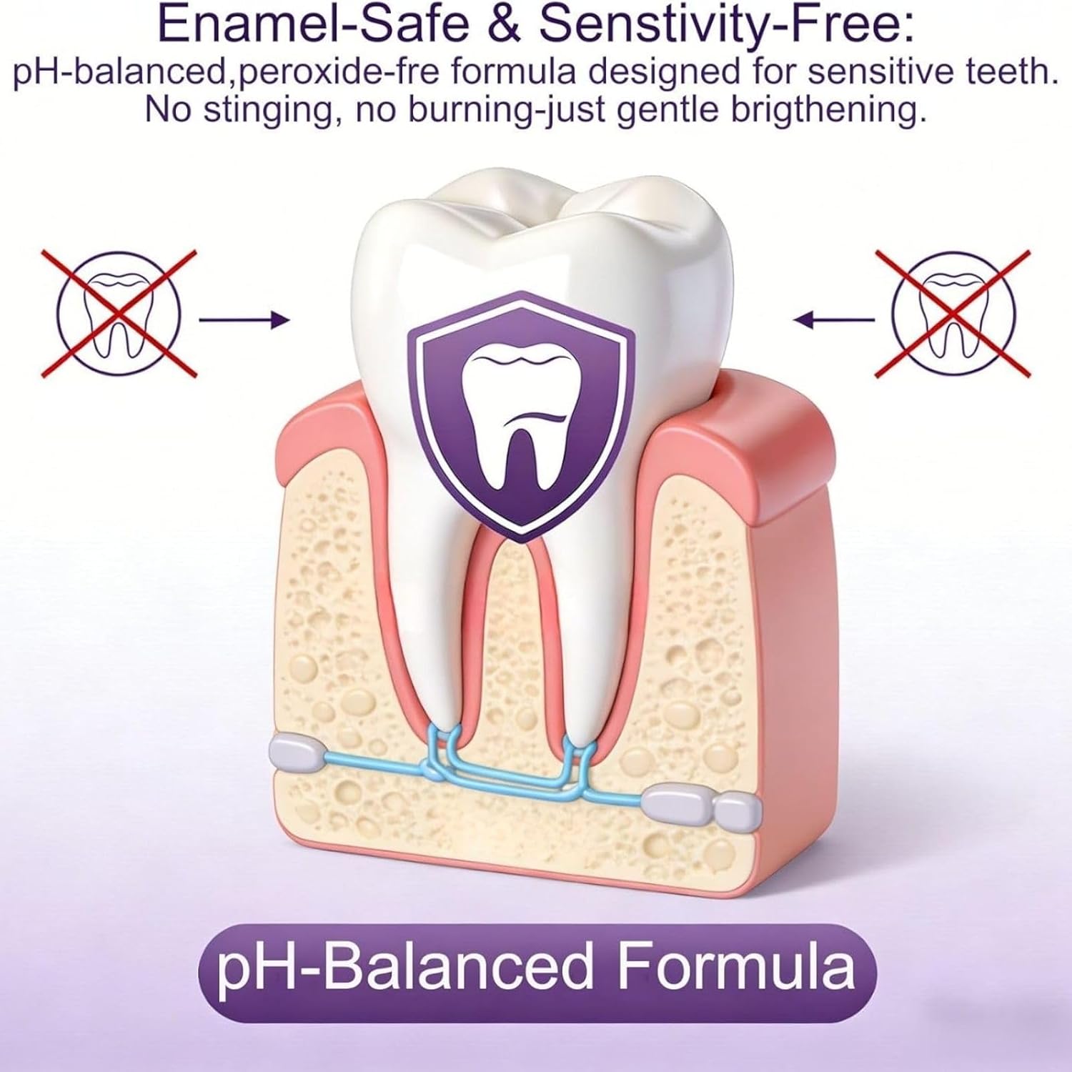 Purple Teeth Whitening Combo K - đánh giá và giá Teeth Whitening Home Kit