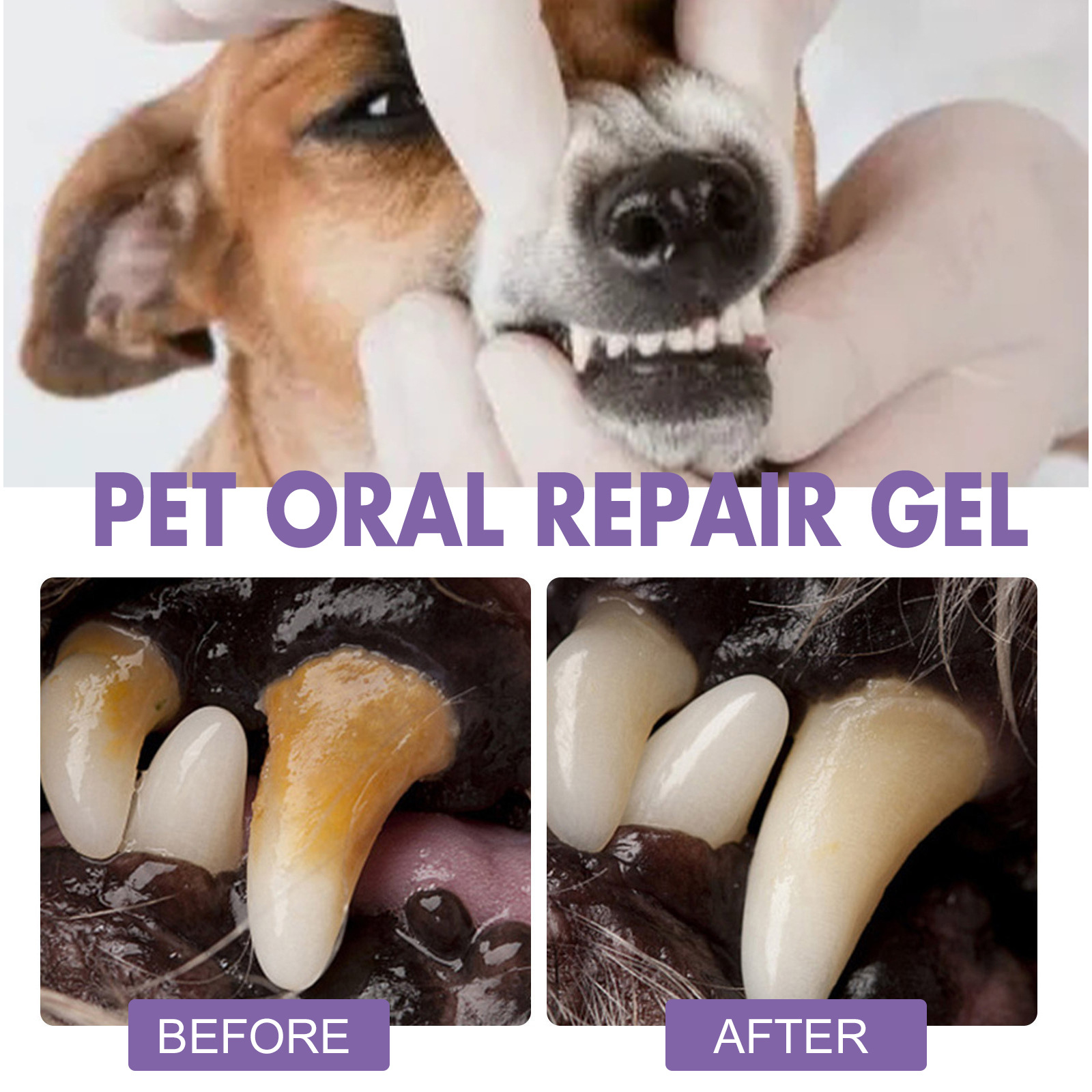Pet Oral Repair Gel Puppy Tart - đánh giá và giá Teeth Whitening Doctor